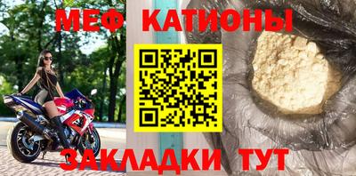 прущие грибы Балашиха