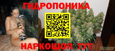 стаф Балаково