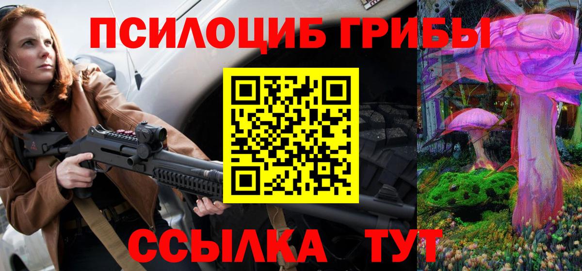 Галлюциногенные грибы Psilocybine cubensis Десногорск